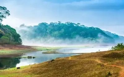 Gavi Tourism: Exploring Kerala’s Hidden Gem
